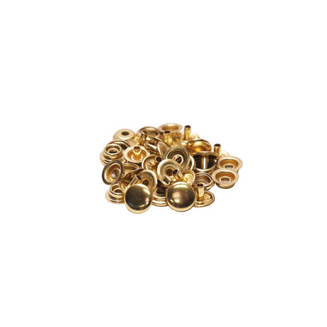 LNFS.Gold.01.jpg Line 24 Snaps Image